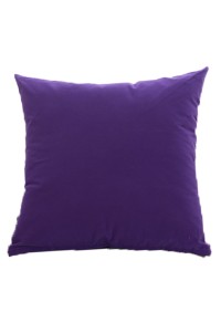 Order Pillow Flocking Plain Color Online Order Sofa Pillow Supply Office Cushion Car Pillow SKBD024 detail view-7